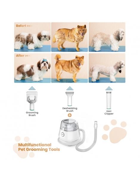 INSE P20 Tagliacapelli 5 in 1 per cani aspiratore tagliacapelli per animali domestici Offerta