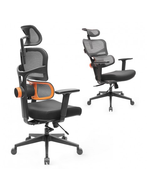 NEWTRAL Sedia Standard NT001 Sedia ergonomica adattiva con supporto per la parte bassa della schiena Negozi Online