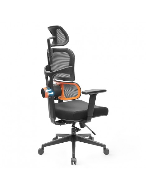 NEWTRAL Sedia Standard NT001 Sedia ergonomica adattiva con supporto per la parte bassa della schiena Negozi Online