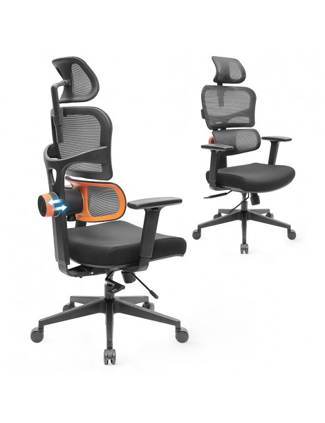 NEWTRAL Sedia Standard NT001 Sedia ergonomica adattiva con supporto per la parte bassa della schiena Negozi Online