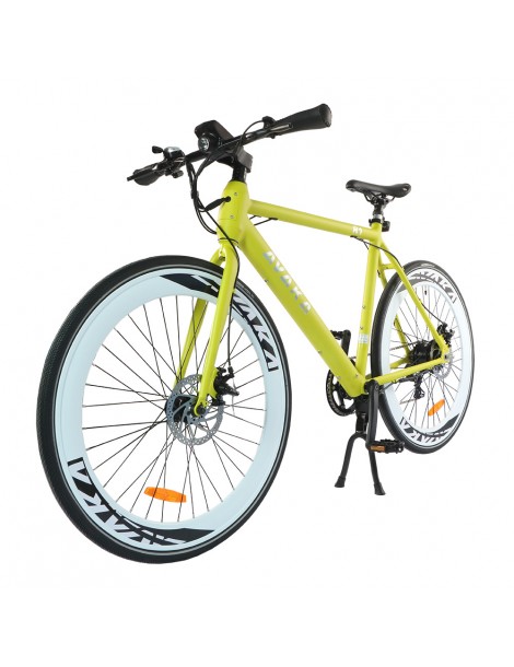 AVAKA R1 Bicicletta elettrica 250W Motore Batteria 9Ah- Verde Spedizione Gratuita