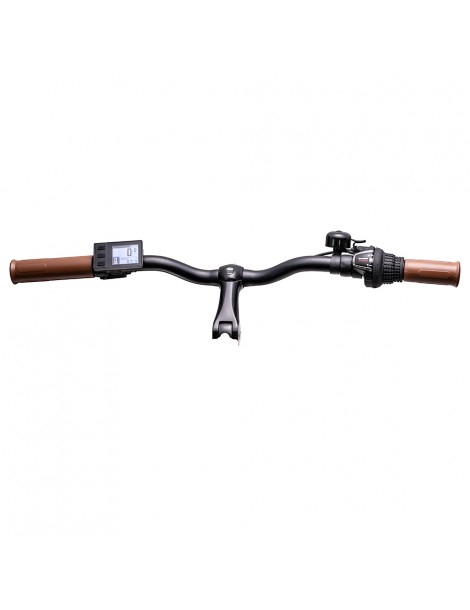 Bezior M2 Pro Ciclomotore elettrico 500W Motore 12.5Ah Batteria- Nero Consegna Veloce