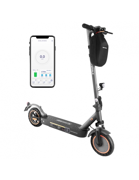 HONEYWHALE E9 MAX con omologazione stradale (ABE) scooter elettrico pieghevole con motore da 500W batteria da 36V 10Ah In Vendita