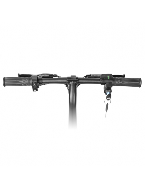LAIFOOK Dolphin Bici Elettrica Pieghevole Motore 250W Batteria 36V 7.8AH Pneumatico 14 pollici - Nero I Più Venduti