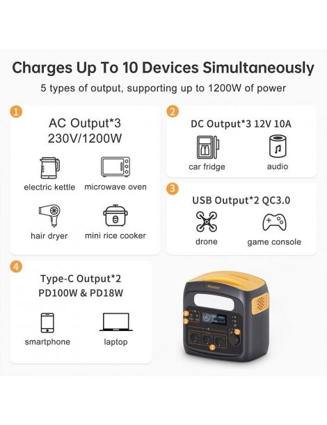 Newsmy N1200 Stazione di alimentazione portatile batterie LiFePO4 da 921Wh Vendita Economica