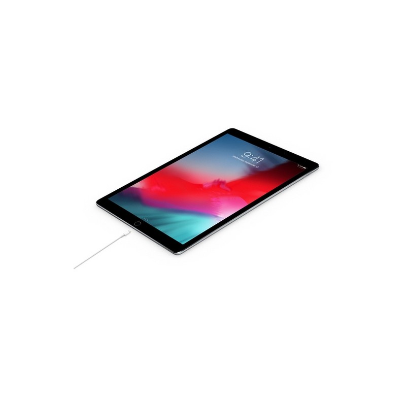 APPLE Cavo Apple Lightning a USB-C Online