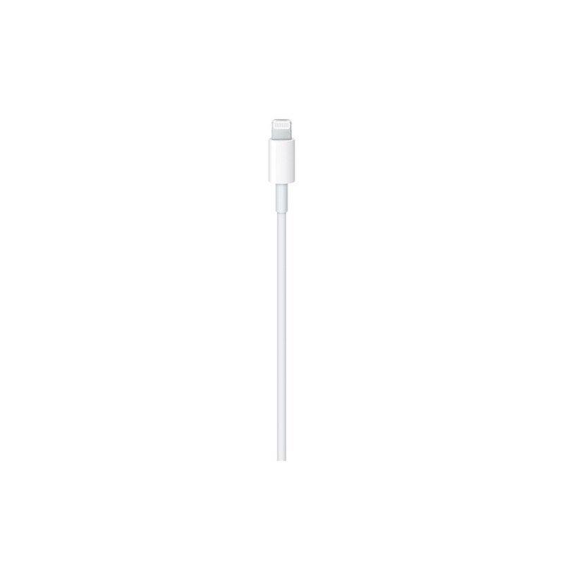 APPLE Cavo Apple Lightning a USB-C Online