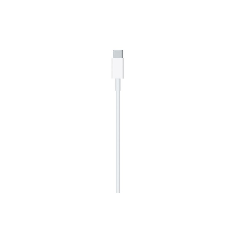 APPLE Cavo Apple Lightning a USB-C Online
