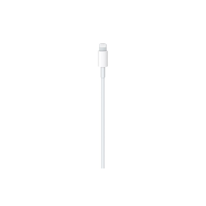 APPLE CAVO APPLE LIGHTNING USB-C Vendita
