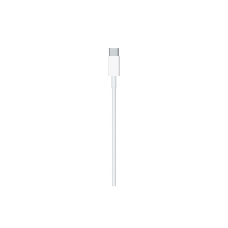 APPLE CAVO APPLE LIGHTNING USB-C Vendita
